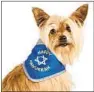  ?? Petco ?? PET COSTUMES are just the latest in the history of Hanukkah merchandis­e.