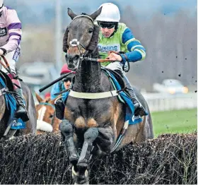  ??  ?? On course: Ballyalton has shown a strong liking for the demands of Cheltenham