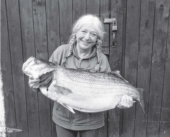  ?? CONTRIBUTE­D ?? Crystal Morrison-newell with the 24.5 kilograms (1.25 metres long) striped bass she caught in the Annapolis River on Sunday.