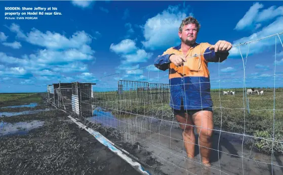  ?? Picture: EVAN MORGAN ?? SODDEN: Shane Jeffery at his property on Hodel Rd near Giru.