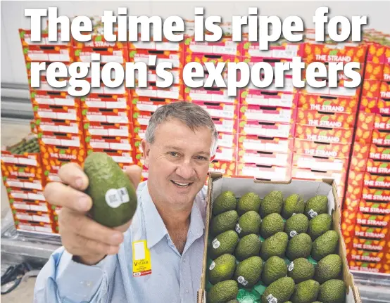  ?? Picture: Kevin Farmer ?? FLYING HIGH: Ravensbour­ne avocado grower, marketer and exporter Daryl Boardman with his avocados before they flew out for Singapore on Friday night.