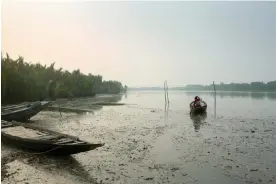  ?? Photograph: Farzana Hossen/The Guardian ?? A villager on Bangladesh’s Shakbaria River. Koyra, in Khulna district, borders the Sundarbans, the world’s largest mangrove forest and home to more than 100 Bengal tigers. Widows are supposed to get compensati­on after tiger attacks but the money is hard to claim.