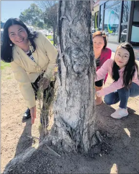  ??  ?? BIG WEEKEND: Horsham migrants, from left, Maryann Kardogeros, Phuong Ha and Yoojin Choi are looking forward to Heartland Horsham, a tree-planting event that will showcase the Wimmera to city-based migrants.