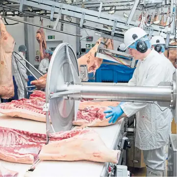 ??  ?? CUT TO THE BONE: UK pig producers are facing falling prices – and rising feed costs.