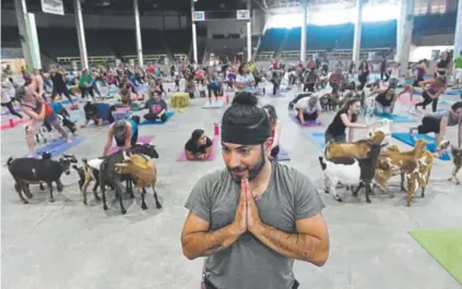  ?? Helen H. Richardson, Denver Post file ?? Casey Woodrow of Denver tries to stay focused in a yoga pose as dozens of goats walk around the yoga floor during goat yoga at the Denver County Fair on July 23, 2017.