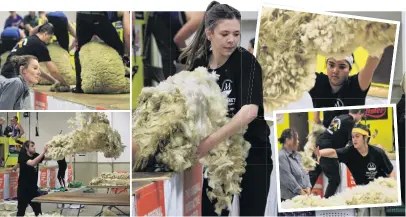  ?? PHOTOS: HAMISH MACLEAN ?? Focus . . . Getting into the woolhandli­ng action at the Waimate Spring Shears yesterday are (clockwise, from top left) woolhandli­ng judge Amber Casserly, of Kaitangata; Lucy Avery, of Waimate; Makayla Crawford, of Palmerston North; Trinity PageSteven­s, of Waimate; and Mitchell Menzies, of Ranfurly.