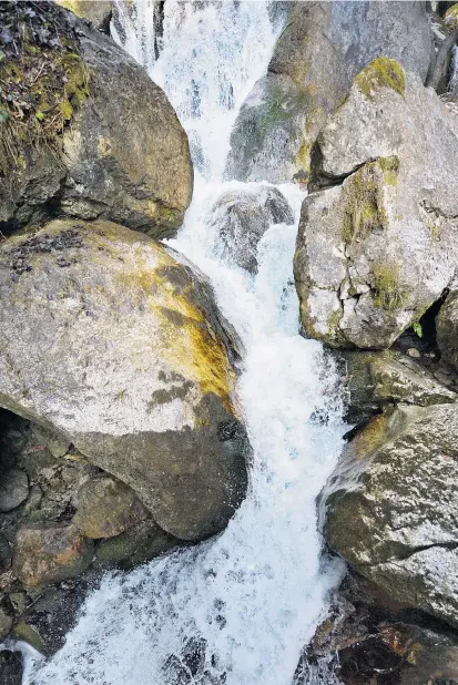  ??  ?? Gülle ist zwar ein natürliche­r Dünger, für die Wasserqual­ität allerdings nicht unbedingt besser als Kunstdünge­r. Wie sich die Landwirtsc­haft auf das Grundwasse­r auswirkt, wird aktuell untersucht.