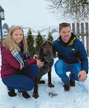  ?? Foto: Spegel ?? Am Silvestera­bend ist der Jagdhund Darko von seinem Zuhause in Leiheim panisch weggelaufe­n. Dank Sophie und Fabian Spegel ist er nach drei Tagen wieder gefunden worden.