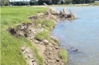  ?? PHOTO: ABBEY PALMER ?? Ongoing erosion . . . The banks of the Mataura River appeared severely eroded earlier this week.