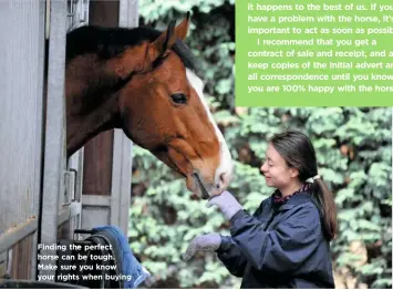  ??  ?? Finding the perfect horse can be tough. Make sure you know your rights when buying