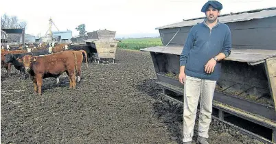  ??  ?? El ojo del amo. Ezequiel Pierella, dueño del campo, en el corral de terminació­n. Los animales salen gordos con 300 kilos.