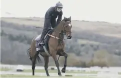  ??  ?? 0 Tiger Roll on ther gallops at Cheltenham last week.