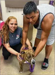  ??  ?? The Clark County Dog Shelter used Smiley’s microchip to help reunite a Columbus family with their pet after nearly four years.