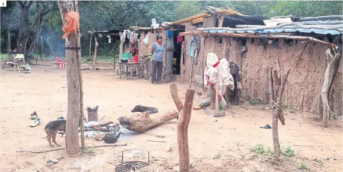  ??  ?? 1. Un rancho típico de la zona, construido con troncos de madera y adobe, en el que vive Betina Quiroga con su marido y sus tres hijos 2. Isabel Cabana junto a su hija Bianca; ella está desnutrida y embarazada de ocho meses 3. Algunos chicos van a la...