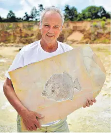  ?? FOTO: DPA ?? Matthias Mäuser zeigt das präpariert­e Fossil eines Kugelzahnf­ischs im Steinbruch bei Wattendorf. Dort werden bei Ausgrabung­en immer wieder gut erhaltene Fossilien zutage gefördert.