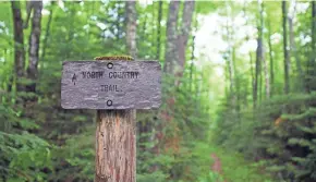  ?? CHELSEY LEWIS/MILWAUKEE JOURNAL SENTINEL ?? Wood signs mark the North Country Trail through the Rainbow Lake Wilderness in the Chequamego­n-Nicolet National Forest.