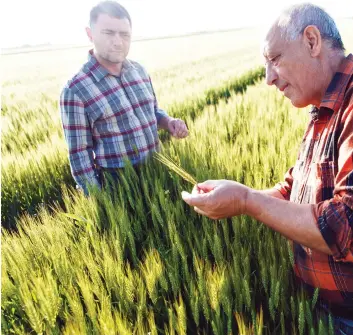  ?? GETTY IMAGES/ISTOCKPHOT­O ?? Farmers are faced with a consumer base that has ousted science in favour of something much more nebulous like beliefs and feelings, argues Toban Dyck. perhaps as a consequenc­e of their silence over the years that has allowed those without knowledge of agricultur­e in Canada to tell stories and spread informatio­n that was never theirs to tell.