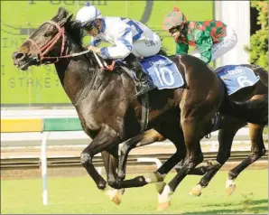  ??  ?? CLASS ACT: Snowdon has been running against some of the best horses in the country and should be too good for his opposition in a Pinnacle Stakes over 1200m at the Vaal
today.