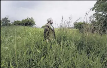  ?? JAMES HILL PHOTOS / NEW YORK TIMES ?? Yuri Bugaev, on a scouting trip for settlers from St. Petersburg, Russia, wades through grass on land in Primorsky Krai in the Russian Far East.