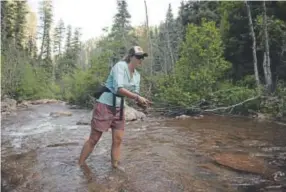  ??  ?? Hermosa Creek, north of Durango, has been made a more hospitable place for native Colorado River cutthroat trout to thrive.