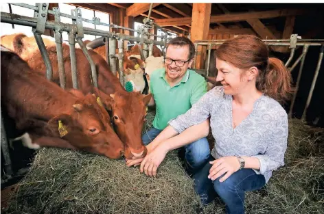  ?? FOTO: KARL-JOSEF HILDENBRAN­D/DPA ?? Sebastian Uhlemair und seine Frau Cornelia halten auf ihrem Bauernhof 15 Ochsen und ein weibliches Jungtier.