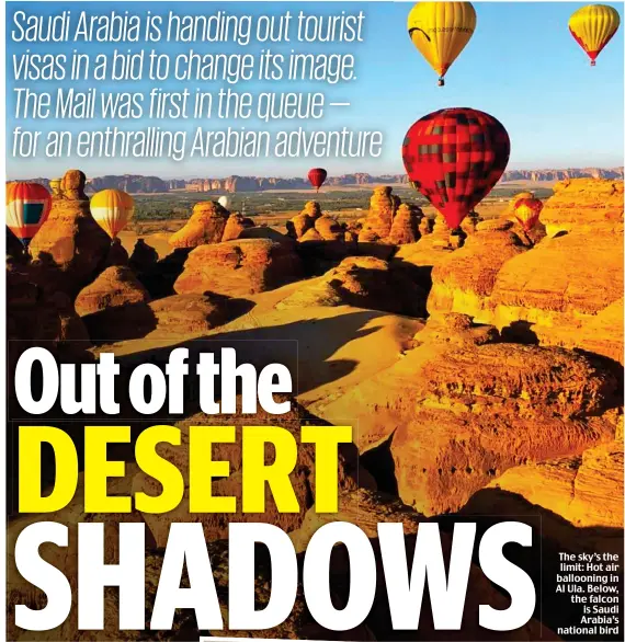  ??  ?? The sky’s the limit: Hot air ballooning in Al Ula. Below, the falcon is Saudi Arabia’s national bird