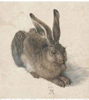  ??  ?? Der Hase aller Hasen: Dürers „Feldhase“– meisterhaf­te Naturstudi­e aus dem Jahr 1502