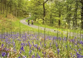  ??  ?? Above left The Duke’s Pass winds through meadows ablaze with bluebells