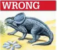  ??  ?? Oviraptor, top, & protocerat­ops WRONG