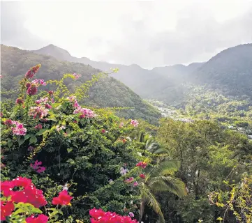  ?? ?? Bright idea: Saint Lucia in January sounded tempting but reader Joy Taylor was refused entry by the island’s health authoritie­s