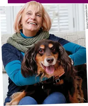  ?? SWNS Picture: ?? Pet-lover: Sue Cabrelli looks after a customer’s dog