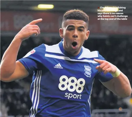  ??  ?? >
Che Adams is relishing his new challenge and says there is no reason why Saints can’t challenge at the top end of the table