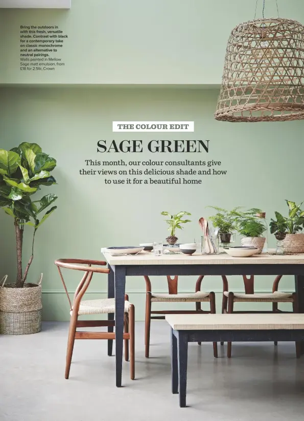  ??  ?? BRING THE OUTDOORS IN
WITH THIS FRESH, VERSATILE SHADE. CONTRAST WITH BLACK FOR A CONTEMPORA­RY TAKE ON CLASSIC MONOCHROME AND AN ALTERNATIV­E TO NEUTRAL PAIRINGS.
Walls painted in Mellow Sage matt emulsion, from £18 for 2.5ltr, Crown