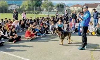  ?? ?? Demonstrat­ion canine de la CRS de Lannemezan