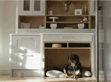  ??  ?? A pet bed is a handy feature for this busy family kitchen; Harlow now has a neat, tucked away spot in the heart of the home and it provides useful storage for her toys and bowl