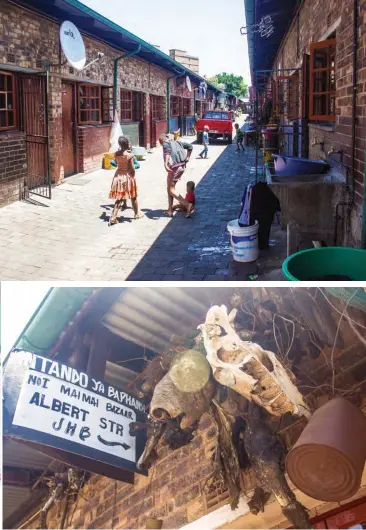  ??  ?? Above Left: Kids playing at the Mai Mai traditiona­l market. Mai Mai is the equivalent of a traditiona­l clinic. Sangomas operate here and you can find any kind of 'muthi'.
Left: Skulls and animal skins displayed at Mai Mai traditiona­l market. All types...