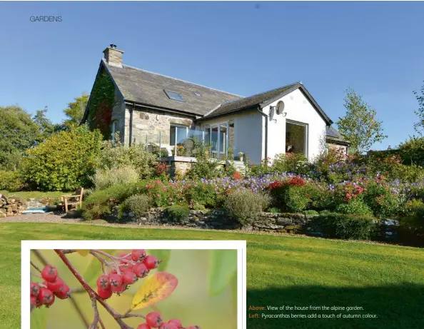  ??  ?? Above: View of the house from the alpine garden. Left: Pyracantha­s berries add a touch of autumn colour.