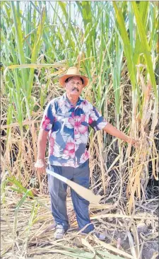  ?? Picture: SUPPLIED ?? Canegrower Lakhmi Chand poses for a photo at his farm in Qeleloa, Nadi.