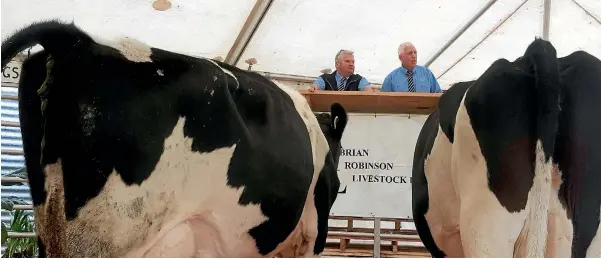  ?? PHOTOS: GERARD HINDMARSH ?? The Nalder family’s recent dispersal sale drew to a close more than 100 years of farming pedigree Holstein Friesian in Golden Bay.