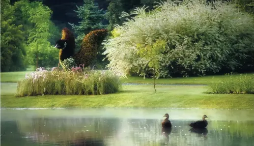  ??  ?? Le Nouveau-Brunswick compte une multitude de bijoux comme le magnifique Jardin botanique, situé au 15, boulevard Isidore-Boucher à Edmundston.