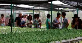  ??  ?? In the hydroponic greenhouse, caravaneer­s learned that crops can be grown without soil. Instead, shavings of coconut husks combined with compost or animal matter are used. Small amounts of water enough to sustain the plants are pumped throughout the day to make sure the PHlevel is balanced and the crops remain healthy.