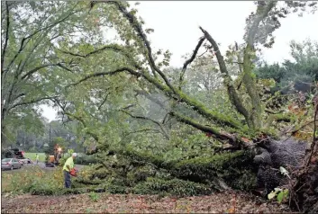  ?? John Bailey ?? Rome street department crews cut up a large oak tree that fell early Thursday on Division Street as high winds from the remnants of Hurricane Zeta passed through.