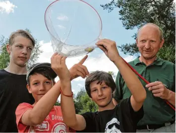  ?? Foto: Andreas Lode ?? In Welden gibt es am Biotop in der Nähe der Lauterbrun­ner Straße die Gelbbauchu­nke. Nils Neher, Bernhard Weihmayr, Max Zel ler (von links) und Förster Gerhard Kratzer haben die Amphibien in ihren Keschern.