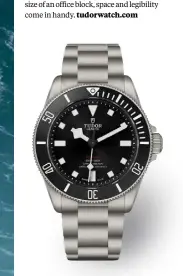  ?? ?? THE TUDOR PELAGOS 39, £3,500