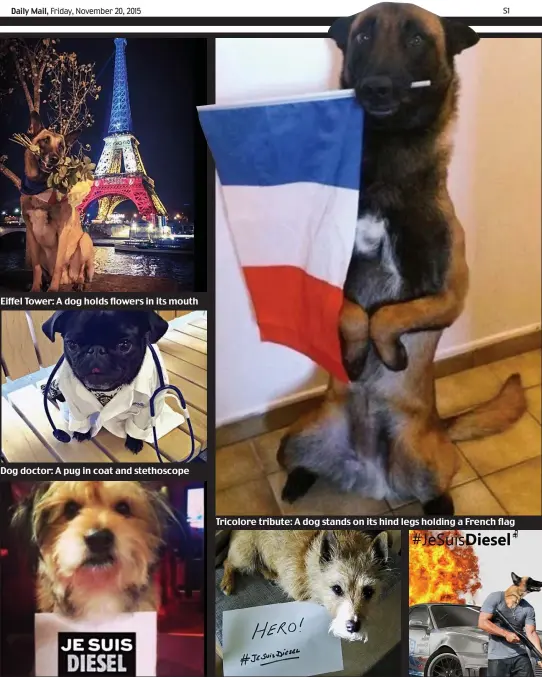  ??  ?? Eiffel Tower: A dog holds flowers in its mouth
Dog doctor: A pug in coat and stethoscop­e
Online sign: A photograph posted to Twitter
Tricolore tribute: A dog stands on its hind legs holding a French flag