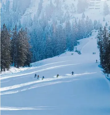  ?? Foto: Axel Schimanski, Naturfreun­de Gersthofen ?? 400 Freunde des Winterspor­ts nahmen am zweiten Gersthofer Schneetrei­ben in Berwang teil. Dort gab’s beste Wetterbedi­ngun gen.