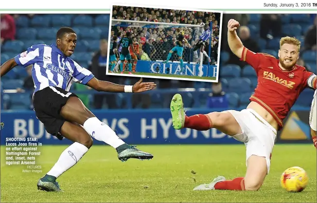  ?? PICTURES: Action Images ?? SHOOTING STAR: Lucas Joao fires in an effort against Nottingham Forest and, inset, nets against Arsenal