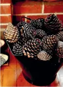  ??  ?? Pine cones for the fire are a necessary part of keeping warm.