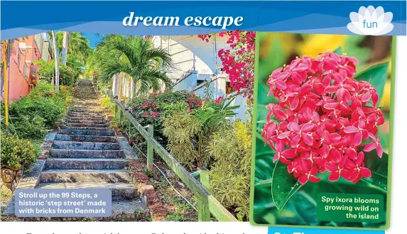  ??  ?? Stroll up the 99 Steps, a historic ‘step street’ made with bricks from Denmark
Spy ixora blooms growing wild on
the island