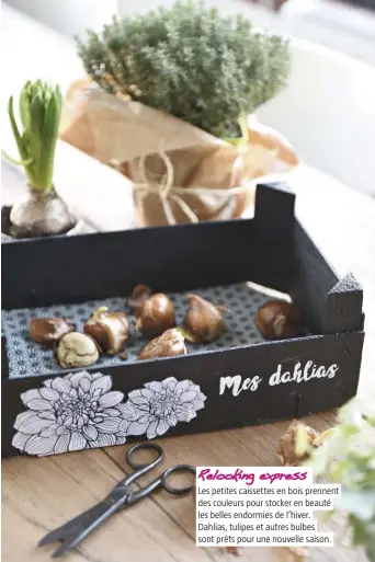  ??  ?? Relooking express Les petites caissettes en bois prennent des couleurs pour stocker en beauté les belles endormies de l’hiver. Dahlias, tulipes et autres bulbes sont prêts pour une nouvelle saison.